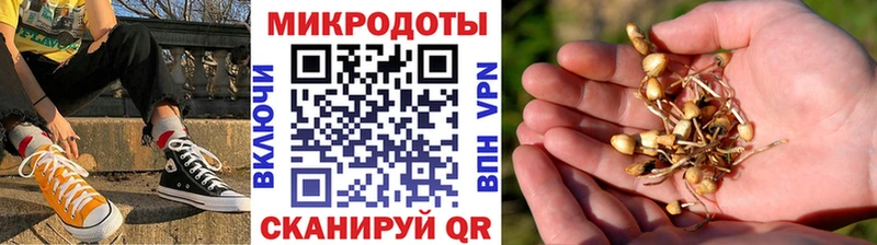 ОМГ ОМГ ссылка  Приозерск  Псилоцибиновые грибы прущие грибы 